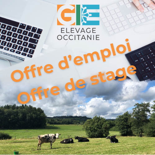 Nous rejoindre